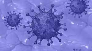 India detects 9 more cases of new mutated Covid-19 strain, total reaches 38 - Coronavirus Outbreak News