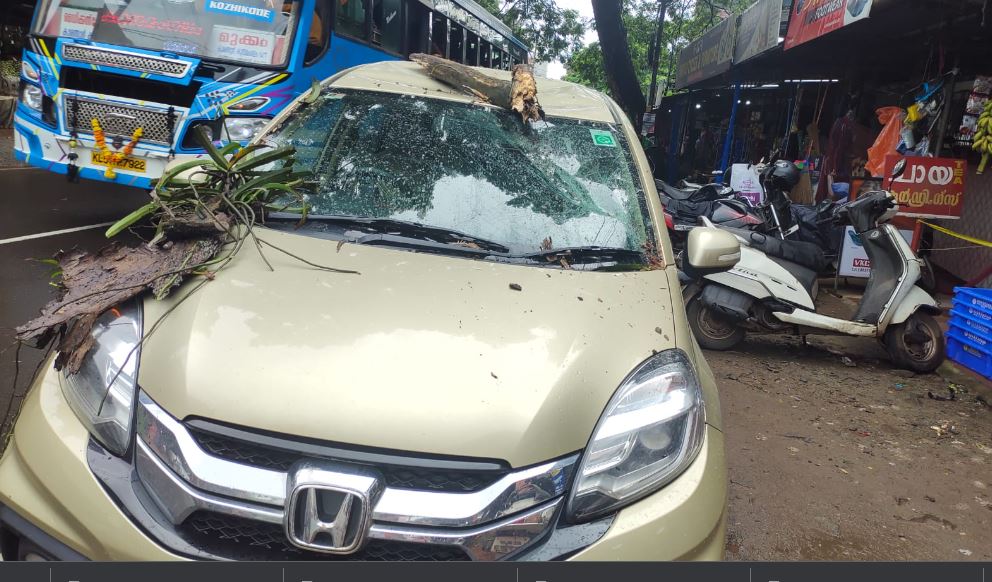  മുക്കം റോഡില്‍ സഞ്ചരിച്ചു കൊണ്ടിരുന്ന കാറിന്റെ മുകളിലേക്ക് മരത്തിന്റെ കൊമ്പ് പൊട്ടി വീണ് അപകടം