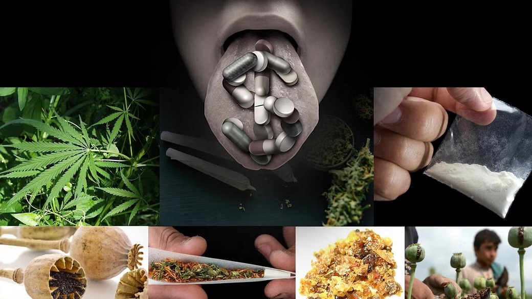  കുന്ദമംഗലത്തെ മയക്കുമരുന്ന് വേട്ട;കൂടുതൽ അന്വേഷണത്തിനൊരുങ്ങി പോലീസ്