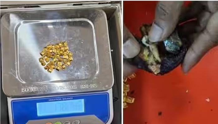  ഈന്തപ്പഴത്തിന്റെ ഉള്ളില്‍ ഒളിപ്പിച്ച് കടത്താന്‍ ശ്രമം; 170 ഗ്രാം സ്വര്‍ണ്ണം പിടികൂടി; കാസര്‍കോട് സ്വദേശി പിടിയില്‍