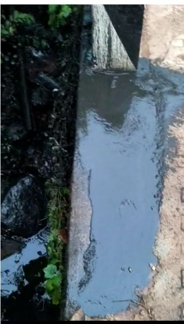  കുന്ദമംഗലം പൊയ്യയില്‍ റോഡരികില്‍ കക്കൂസ് മാലിന്യം തള്ളി