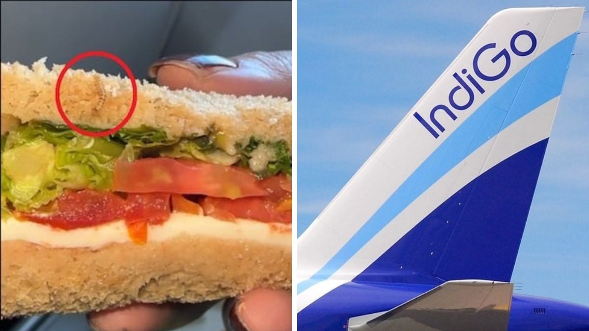  ഇന്‍ഡിഗോ വിമാനത്തില്‍ വിളമ്പിയ സാന്‍ഡ്‍വിച്ചില്‍ നിന്ന് ജീവനുള്ള പുഴുവിനെ കണ്ടെത്തിയ സംഭവം; ഇടപെട്ട് ഫുഡ് സേഫ്റ്റി ആൻഡ് സ്റ്റാൻഡേർഡ് അതോറിറ്റി ഓഫ് ഇന്ത്യ