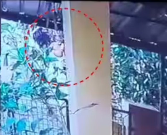 കളിക്കുന്ന സമയത്ത് അടുത്ത വീട്ടിലേക്ക് വീണ പന്തെടുക്കാന്‍ പോയ 10 വയസുകാരനെ മര്‍ദിച്ചു;അയല്‍വാസിക്കെതിരെ പൊലീസ് കേസെടുത്തു; കുട്ടിയെ നീണ്ട കമ്പി കൊണ്ട് അടിക്കുന്ന സിസിടിവി ദൃശ്യങ്ങള്‍ പുറത്ത്