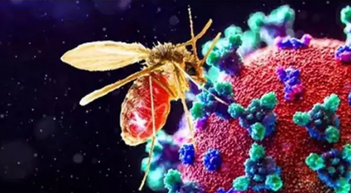  ഗുജറാത്തില്‍ ചാന്ദിപുര വൈറസ് ബാധിതരുടെ എണ്ണം കൂടുന്നു; മരണം 24ആയി; നിരവധി പേര്‍ ചികിത്സയില്‍;കണ്‍ട്രോള്‍ റൂം ആരംഭിച്ച് സര്‍ക്കാര്‍