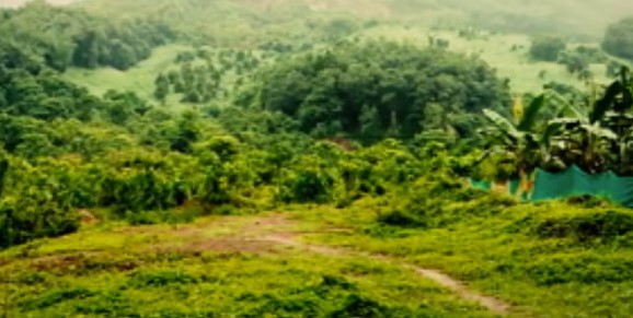  കണ്ണീരിലാഴ്ത്തിയ നിലമ്പൂര്‍ കവളപ്പാറ ദുരന്തത്തിന് ഇന്ന് ആറാണ്ട്