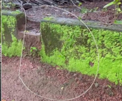  വടകരയില്‍ വൈദ്യുതി ലൈന്‍ വീട്ടുമറ്റത്തേക്ക് പൊട്ടി വീണു; വീട്ടമ്മ ഷോക്കേറ്റ് മരിച്ചു