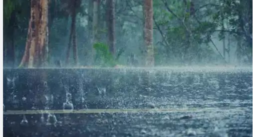  സംസ്ഥാനത്ത് മഴ കനക്കും; ഇന്ന് അഞ്ചു ജില്ലകളില്‍ ഓറഞ്ച് അലര്‍ട്ട്