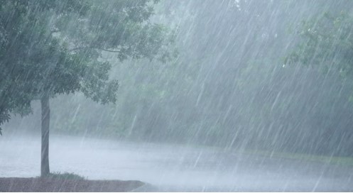  സംസ്ഥാനത്ത് മഴ കനക്കുന്നു; ആറ് ജില്ലകളില്‍ ഓറഞ്ച് അലര്‍ട്ട് പ്രഖ്യാപിച്ചു
