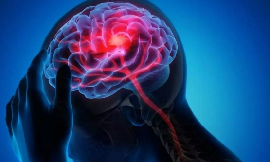  വീണ്ടും അമീബിക് മസ്തിഷ്‌ക ജ്വരം; കോഴിക്കോട് ഒളവണ്ണ സ്വദേശിക്കാണ് രോഗം സ്ഥിരീകരിച്ചത്