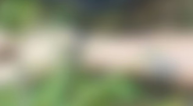  ചിത്രദുര്‍ഗയില്‍ 20കാരിയെ കൊല്ലപ്പെട്ട നിലയില്‍ കണ്ടെത്തി; നഗ്‌നമാക്കപ്പെട്ട ശരീരം പാതി കത്തിയ നിലയില്‍